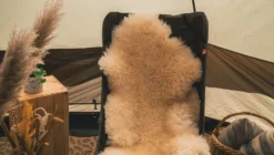 Robens Strider Chair -Nordisk Udendors Sport Butik 60600066 4