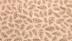 Robens Fleece Carpet Kiowa